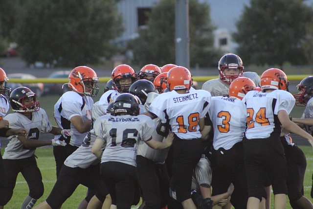 分的尺度显 分的尺度显