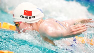 而正是这种 而正是这种