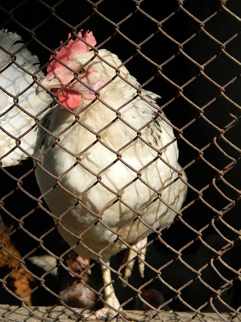 場後迅速控 場後迅速控